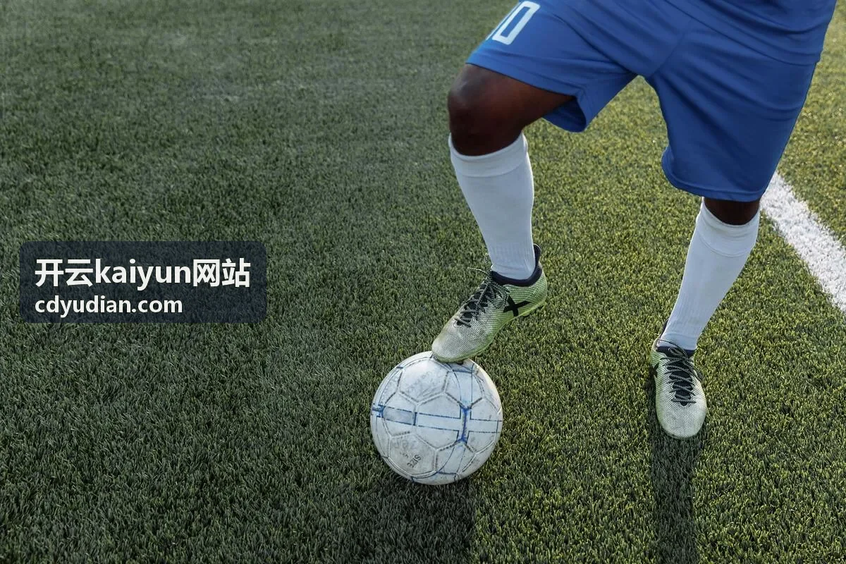 开云kaiyun网站入口导航与栏目结构展示